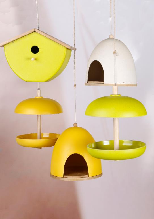 Fuglehus, bue, gul - Blomsterverden